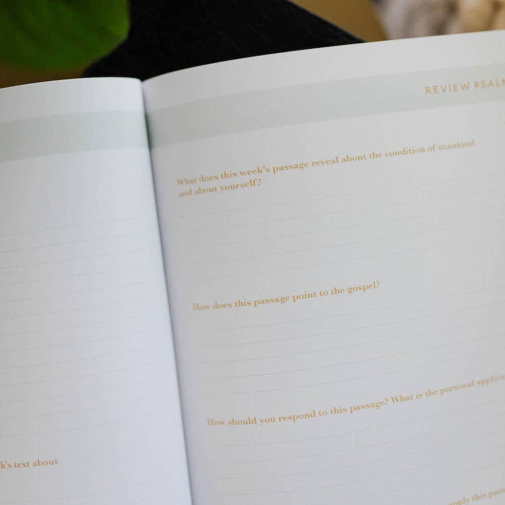 He Leads Me | Psalm 23 