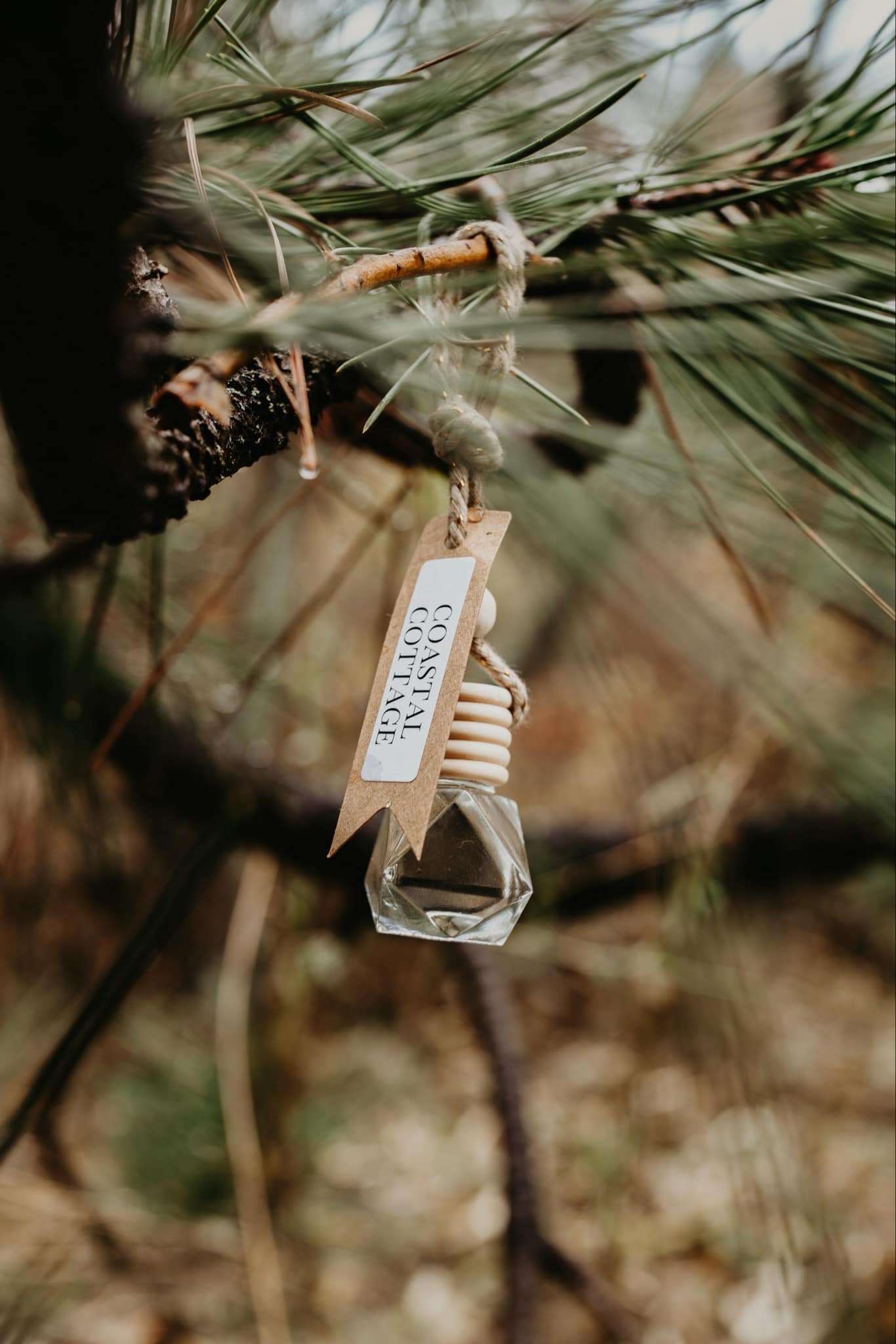 Car Diffusers - FALL Scents Non-Toxic Car Freshener